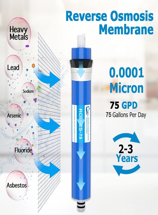 Vegebe 75 GPD RO Membrane Filter Replacement with Reverse Osmosis Membrane Housing, Wrench, 1/4" Quick-Connect Fitting, Check Valve, Fit Under Sink RO Home Drinking Water Filter Filtration Purifier System - Image 3